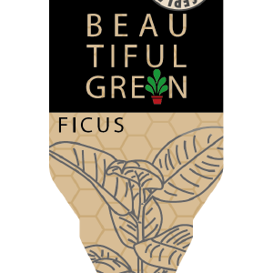 Image Etiket-Ficus