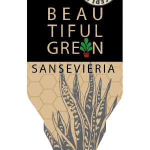 Image Etiket-Sansevieria